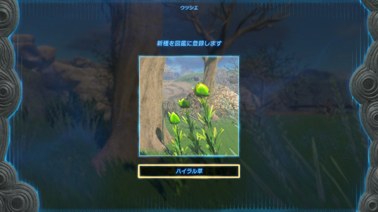 図鑑登録1